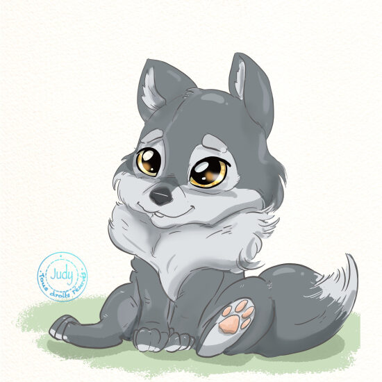 Petit Loup.jpeg