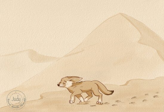 Jour 13 Dune.jpeg