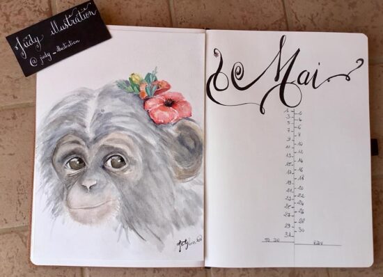 Aquarelle Winsor et Newton.jpeg